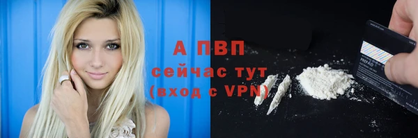 стафф Белоозёрский