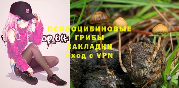 стафф Белоозёрский